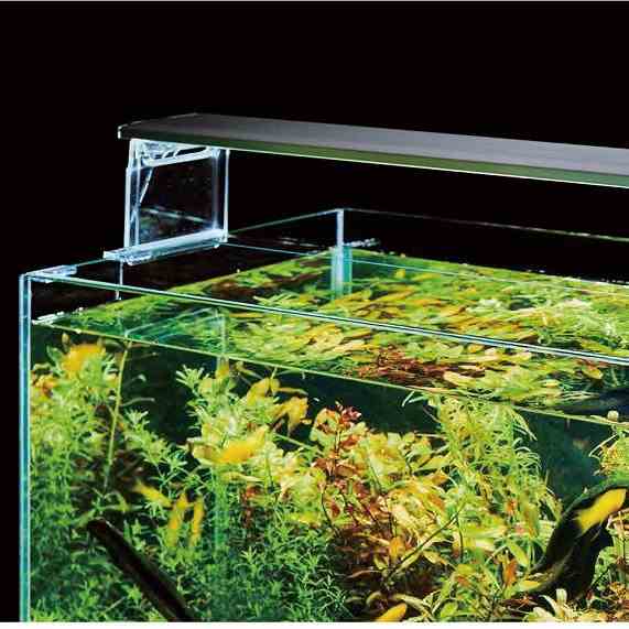 水槽 / 照明 / 底床の通信販売(熱帯魚・水草 アクアマリン熊本)