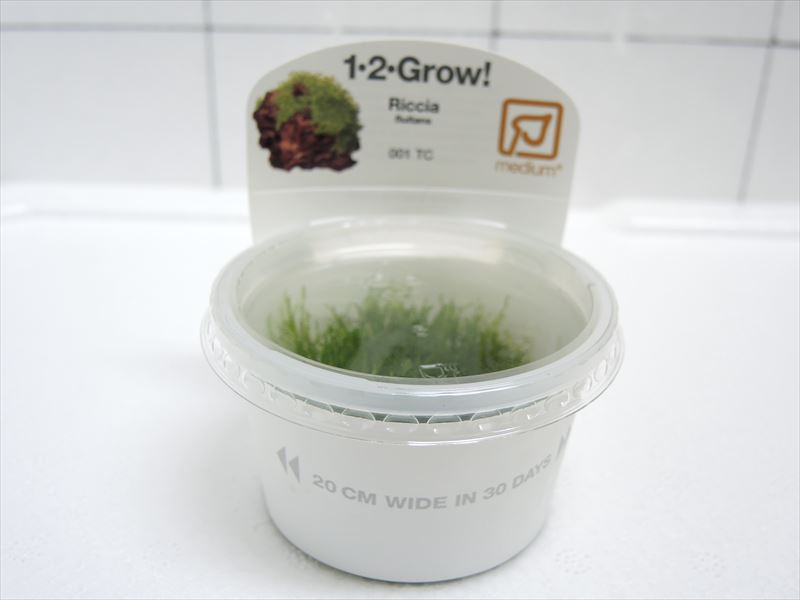 リシア1-2-Grow