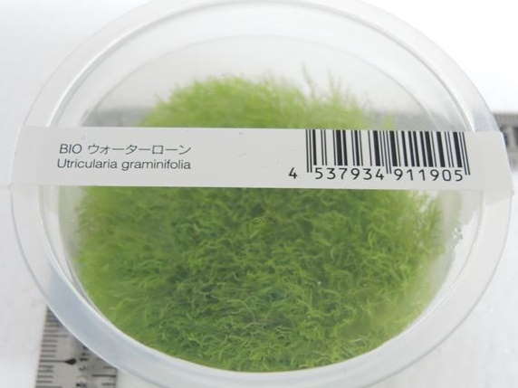 ADA BIOみずくさの森の販売(アクアマリン熊本)