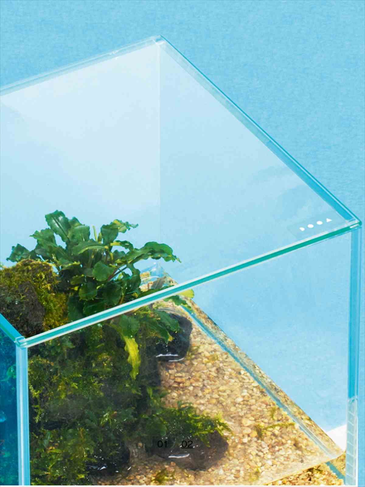 DOOA ネオグラスエア専用ガラスフタW20×D20の販売 (アクアマリン熊本)