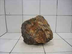 上質木化石 4003
