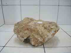上質木化石 4017