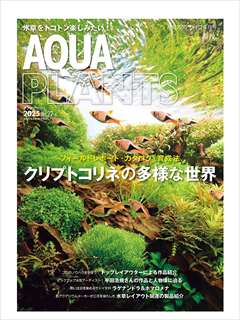 アクアプランツ No.22 2025