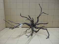 黒枝流木8001 LLサイズ