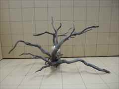 黒枝流木8002 LLサイズ