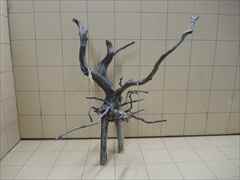 黒枝流木8004 LLサイズ