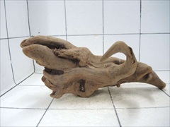 プレミアム流木5602