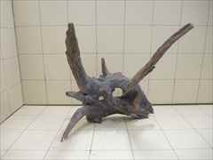 ホーンウッド1003