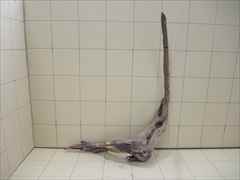 ADA ホーンウッド　LL 未使用品　① 2025年最新】ホーンウッド adaの人気アイテム - メルカリ