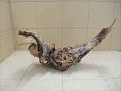 ホーンウッド1202