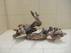 ホーンウッド1203