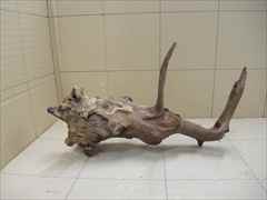 ホーンウッド1201