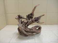 ホーンウッド1204