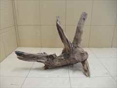 ホーンウッド1205