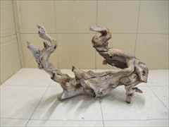 ホーンウッド1206