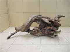 ホーンウッド1207