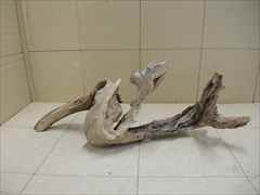 ホーンウッド1208