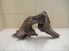 ホーンウッド1209