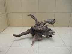 ホーンウッド1212