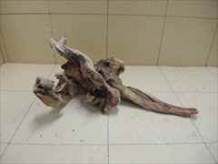 ホーンウッド1213