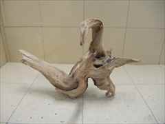 ホーンウッド1214