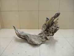 ホーンウッド1215