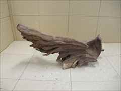 ホーンウッド1216