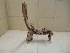 ホーンウッド1218