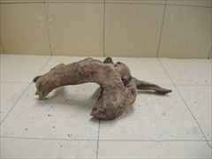 ホーンウッド1220