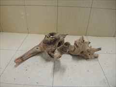 ホーンウッド1221