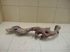 ホーンウッド1223