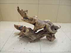 ホーンウッド1224