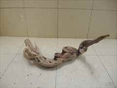 ホーンウッド1227