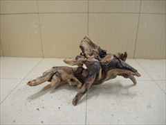 ホーンウッド1228