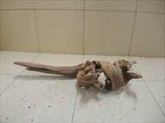 ホーンウッド1229