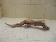 ホーンウッド1230