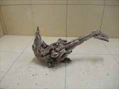 ホーンウッド1231