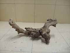 ホーンウッド1232