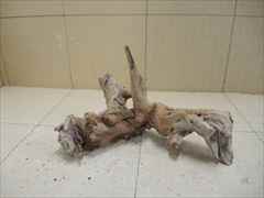 ホーンウッド1233