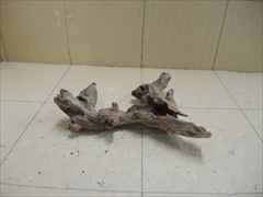 ホーンウッド1234