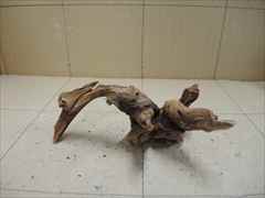 ホーンウッド1236