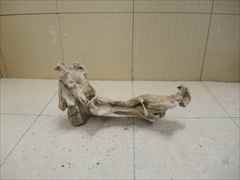 ホーンウッド1237