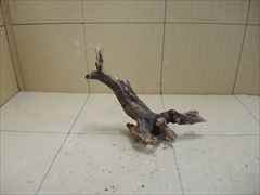 ホーンウッド1238