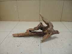 ホーンウッド1239