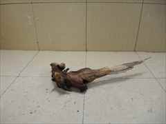 ホーンウッド1240