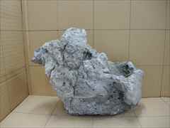 ADA 龍王石の販売(アクアマリン熊本)