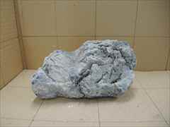 ADA 龍王石の販売(アクアマリン熊本)