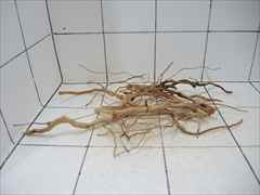 ルートブランチ セット4004