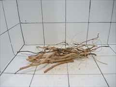 ルートブランチ セット4007