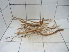 ルートブランチ セット4010